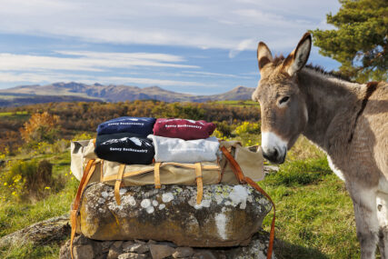 Sancy Backcountry - nos sweats